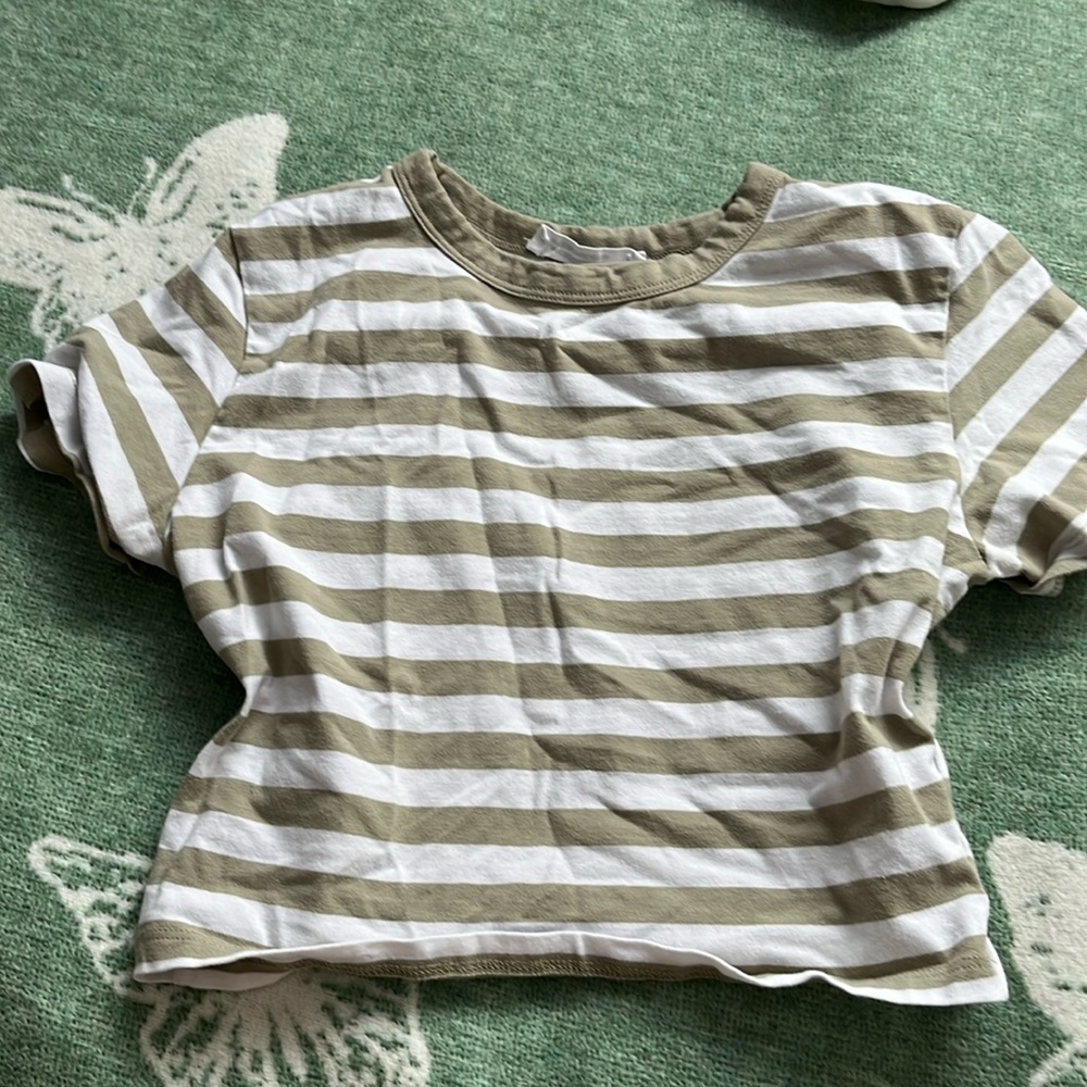 A mini green shirt with white stripes (or a white shirt with green stripes)